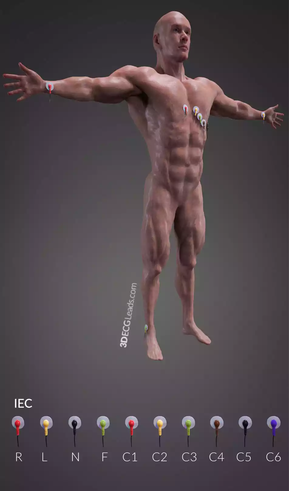 12 lead ecg placement color coded